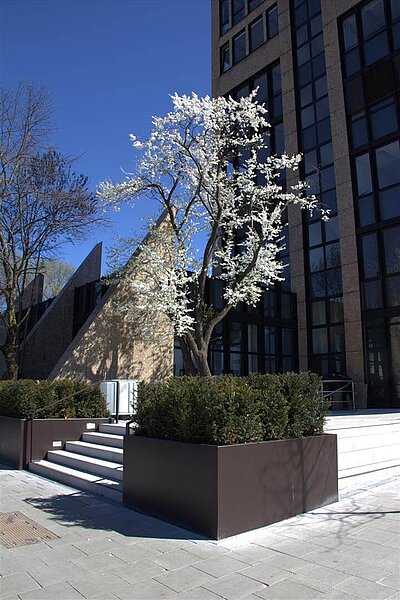 Eckterrasse München